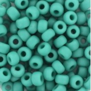 Miyuki seed beads 6/0 - Opaque matte turquoise green 6-412F